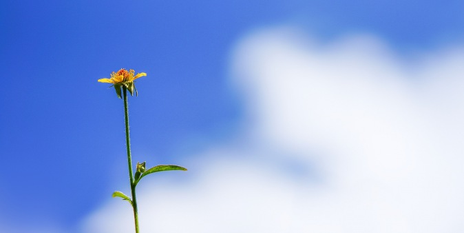 love and hope