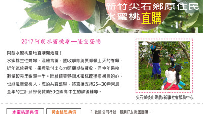 2017阿朗水蜜桃DM